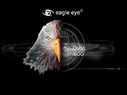   Eagle Eye history Incorporated