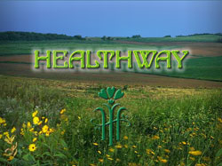 Разработка flash сайта Healthway
