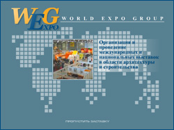Разработка сайта WORLD EXPO GROUP издательского дома Красивые дома пресс